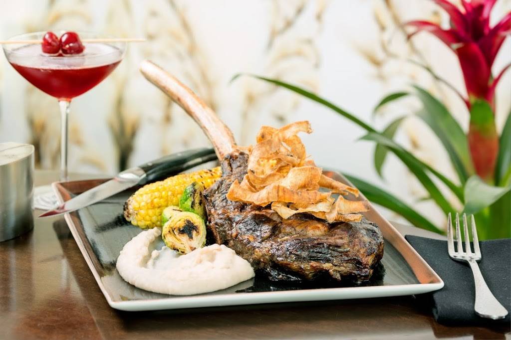 City House | cafe | 1325 Wilson Blvd, Arlington, VA 22209, USA | 7032768999 OR +1 703-276-8999