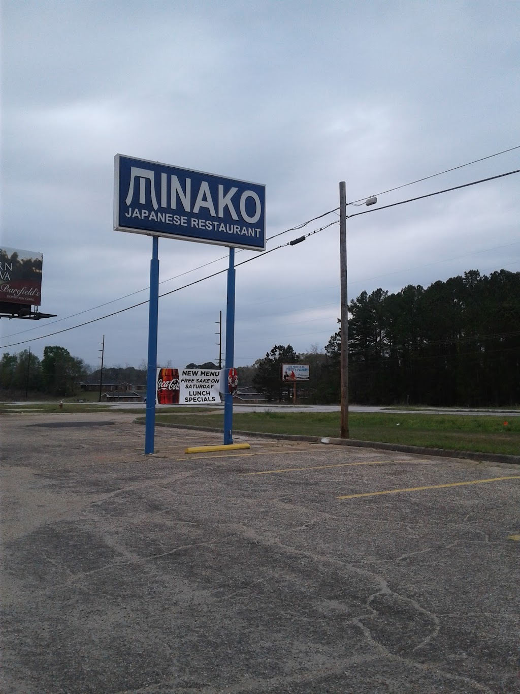 Minako Japanese restaurant | restaurant | 2704 S N US Hwy 231, Ozark, AL 36360, USA | 3344430888 OR +1 334-443-0888
