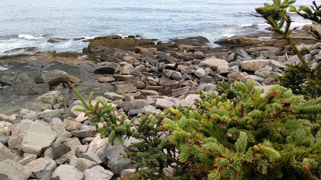 D B Rice Fisheries | restaurant | Bunkers Harbor Rd, Birch Harbor, ME 04613, USA | 2079632616 OR +1 207-963-2616