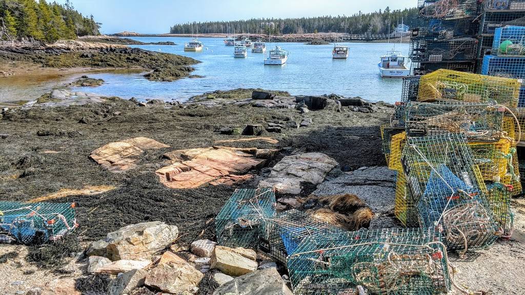 D B Rice Fisheries | restaurant | Bunkers Harbor Rd, Birch Harbor, ME 04613, USA | 2079632616 OR +1 207-963-2616