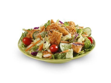 Bojangles Famous Chicken n Biscuits | restaurant | 106 Sandy Ct, Danville, VA 24541, USA | 4347974071 OR +1 434-797-4071
