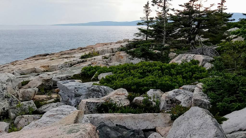 D B Rice Fisheries | restaurant | Bunkers Harbor Rd, Birch Harbor, ME 04613, USA | 2079632616 OR +1 207-963-2616
