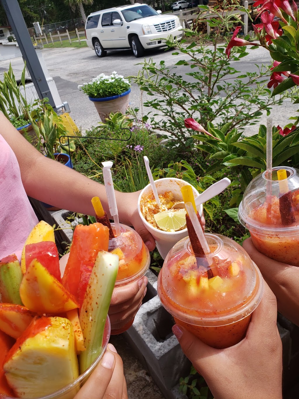 La Monarca | meal takeaway | 18844 Whyte Hardee Blvd Suite 3B, Hardeeville, SC 29927, USA | 8434158029 OR +1 843-415-8029