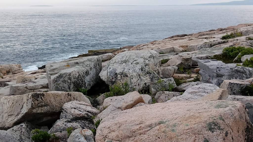 D B Rice Fisheries | restaurant | Bunkers Harbor Rd, Birch Harbor, ME 04613, USA | 2079632616 OR +1 207-963-2616