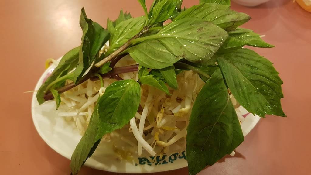 Pho Hao | restaurant | 6230 Chemin de la Côte-des-Neiges, Montréal, QC H3S 2A1, Canada | 5143435018 OR +1 514-343-5018
